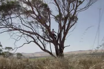 A still from the ad. It's way better with the soundtrack though.