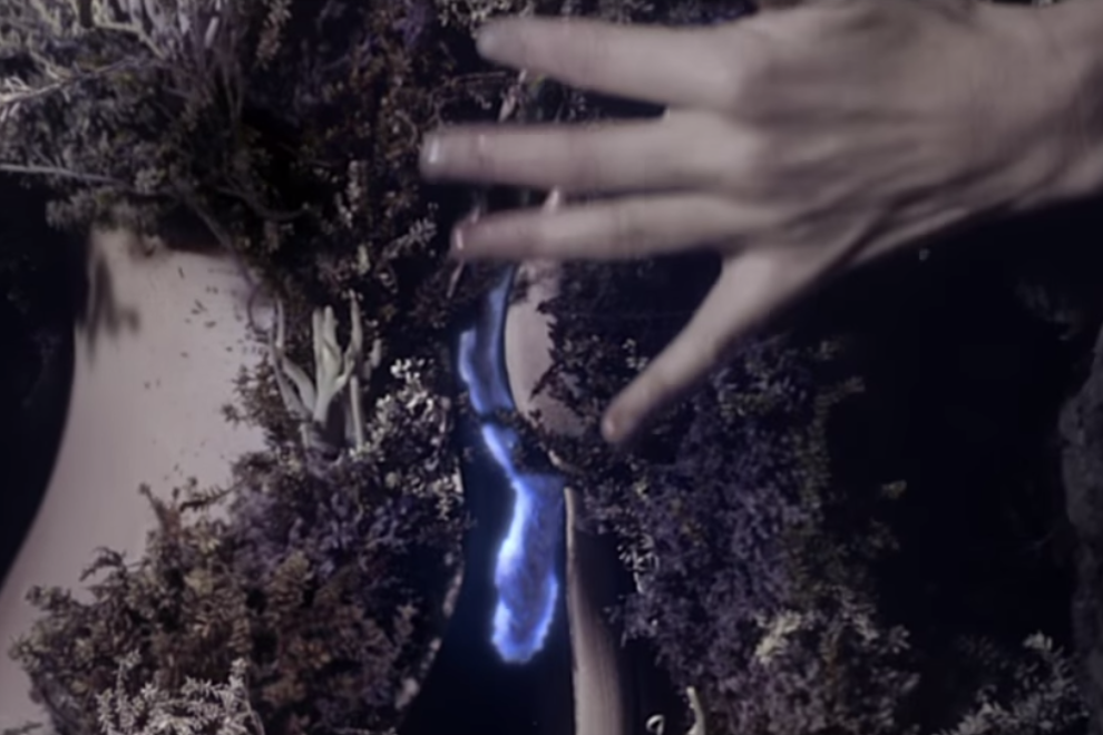 BJORK BLACK LAKE 5