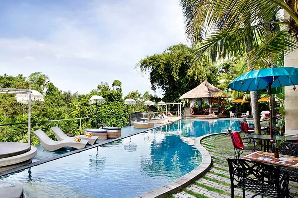 cassia bali 02