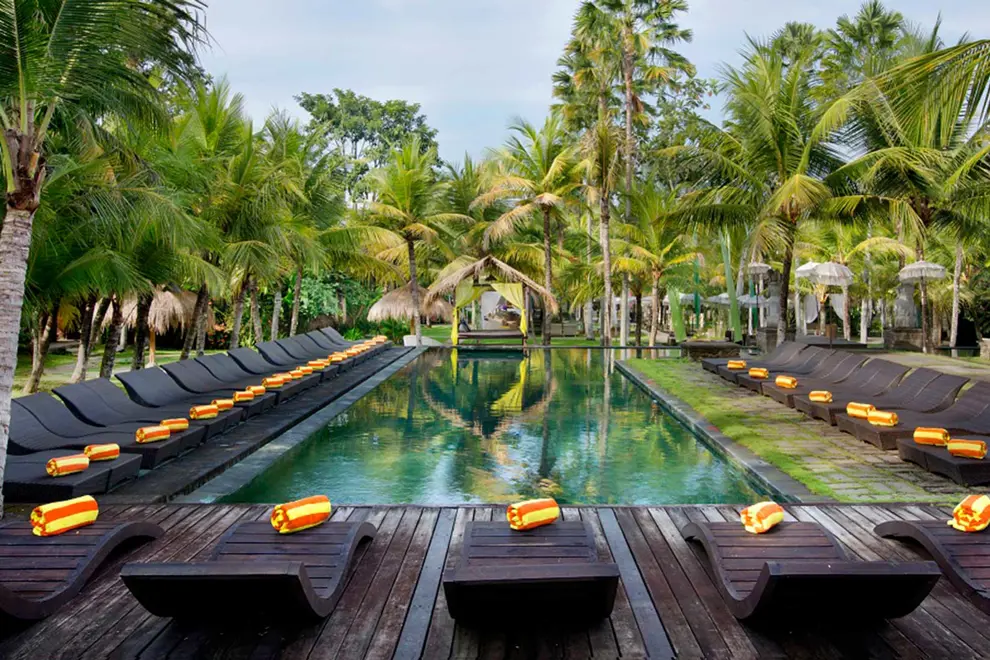 cassia bali 03