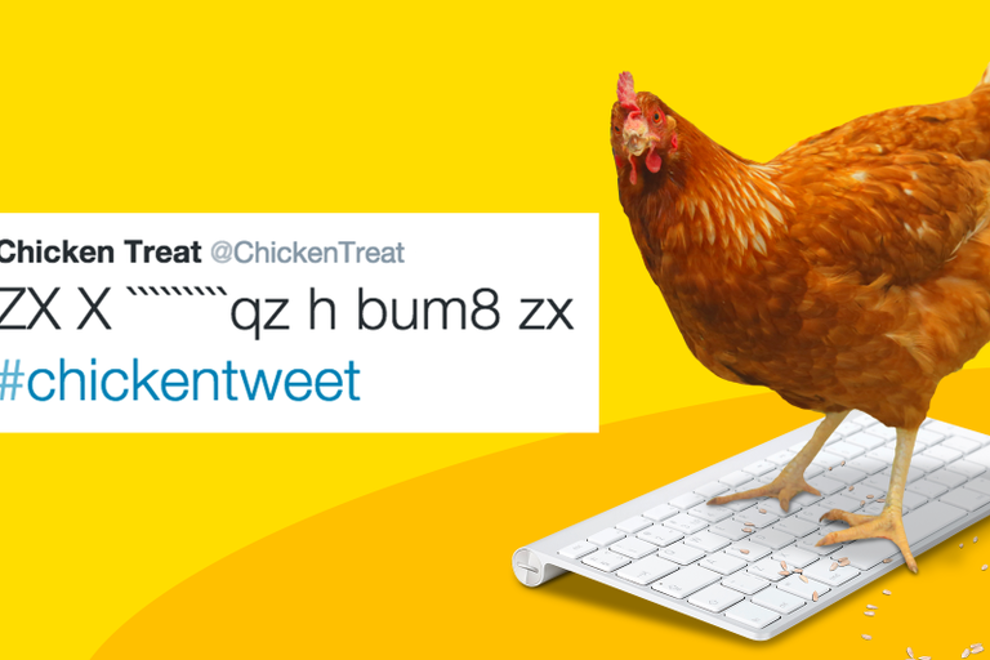 chicken tweet2
