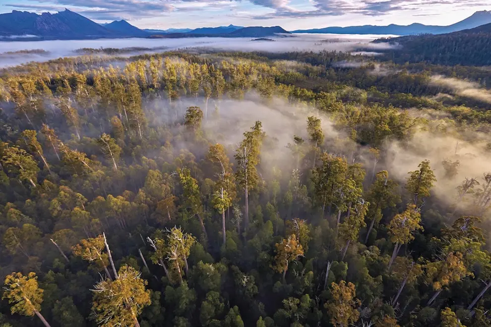 environmental disconnect tas