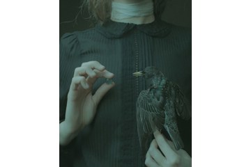 Focus: Laura Makabresku