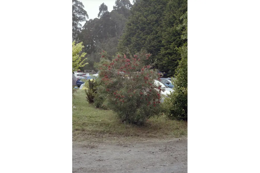 sweat curse falls festival 04