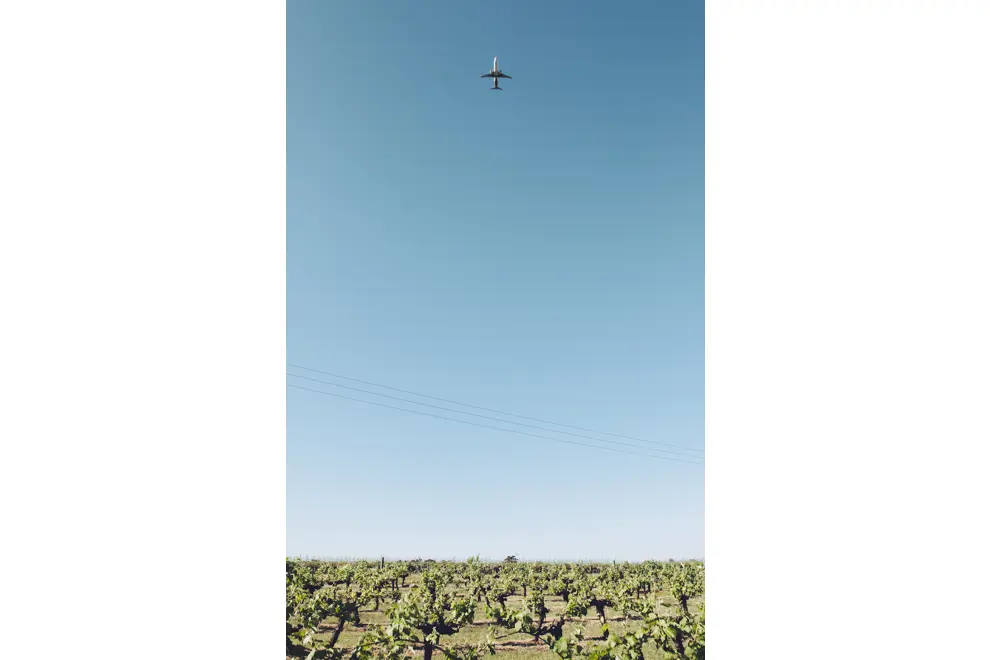 uber vino 13