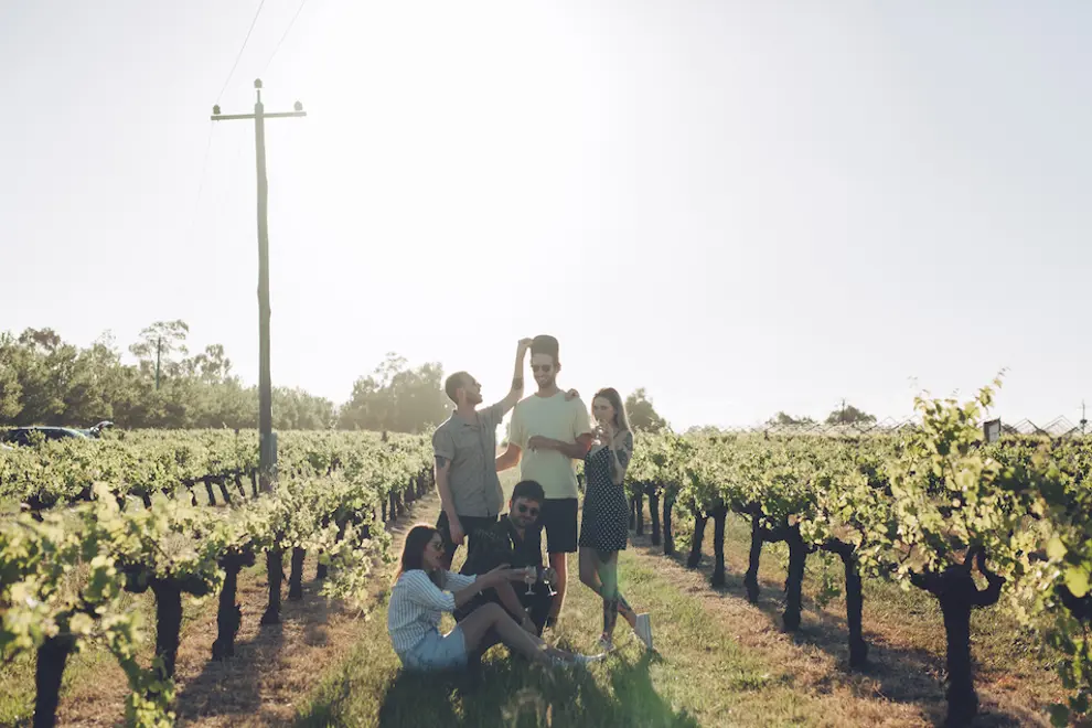 uber vino 19
