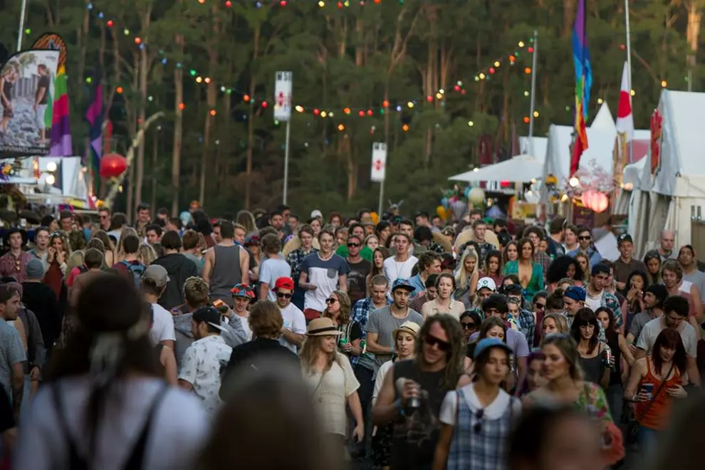 Splendour In The Grass