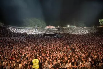 Splendour In The Grass