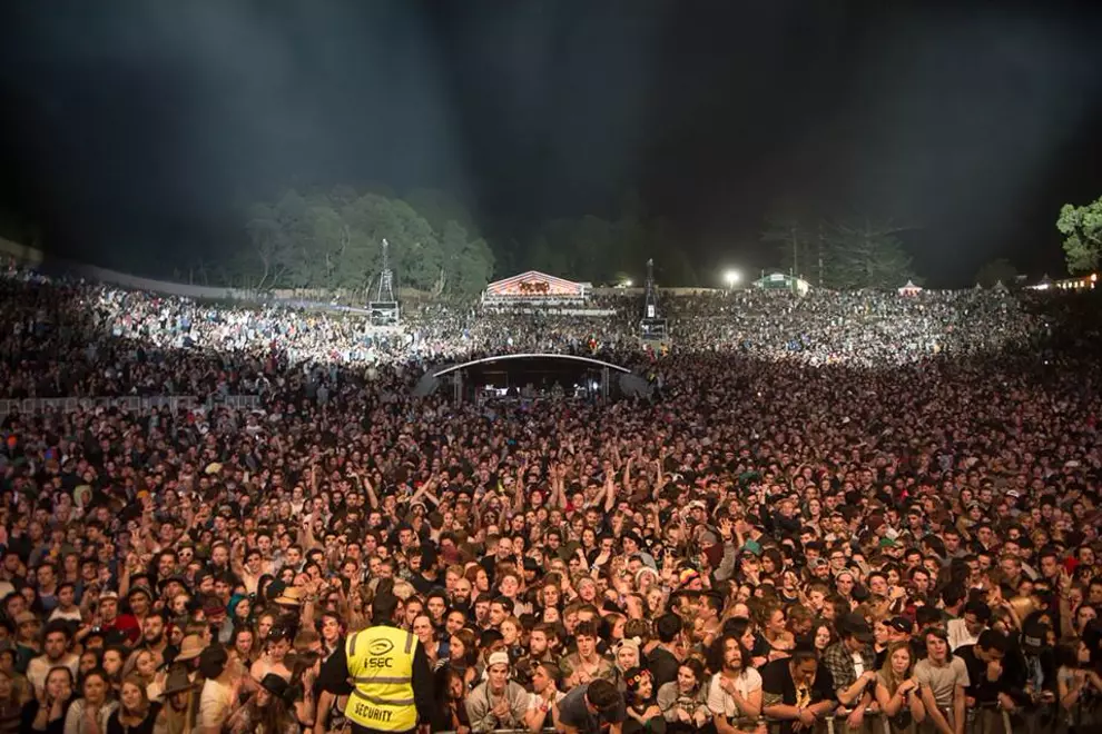 Splendour In The Grass