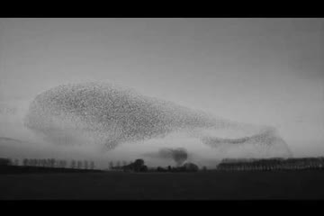 VIDEO PREMIERE: Jack Tully & The Seers - 'Spirit Bird'